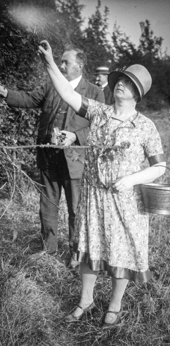 plaque 9x6 numero 792